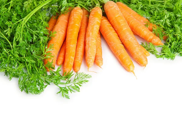 Un mazzo di carote . — Foto Stock