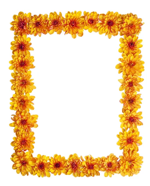 Граница хризантемы — стоковое фото