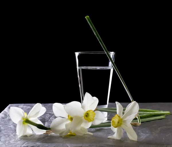 水仙花的花瓶 — 图库照片