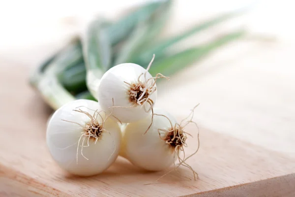 Stock image Spring onions