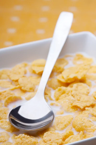 Morning cereal — Stock Photo, Image