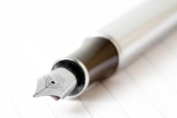 Penna di scrittura stilografica — Foto Stock