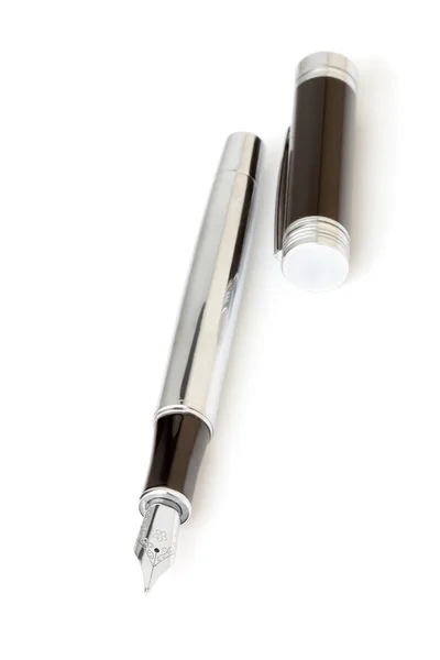 Одуванчиковая письменная ручка — стоковое фото