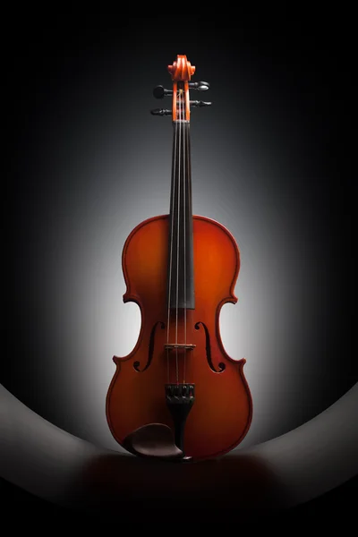 stock image Violin