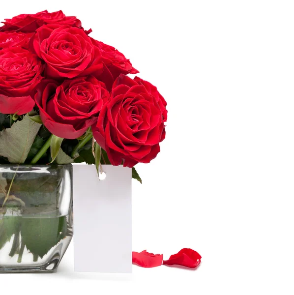Piękna róża szczegół z karty z pozdrowieniami — Zdjęcie stockowe