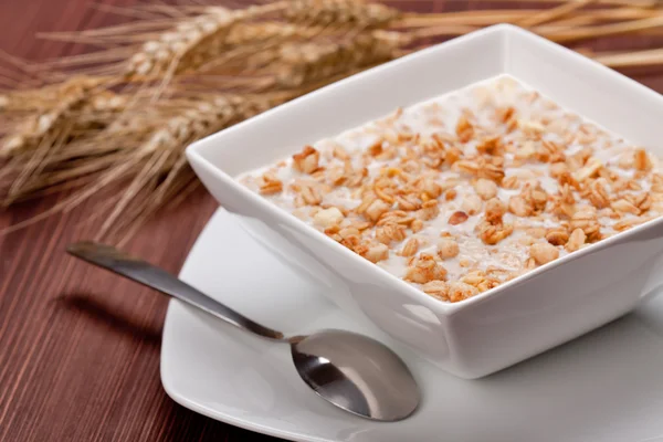 Desayuno de cereales —  Fotos de Stock