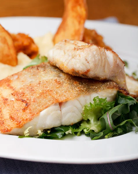 Roasted pikeperch fillet with mashed potatoes — Stock Image Roasted pikeperch fillet with mashed potatoes Royalty Free Stock Images