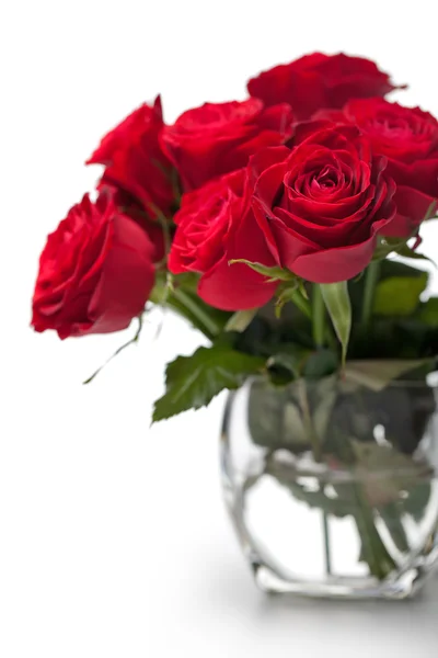 Piękny szczegół czerwona róża — Zdjęcie stockowe