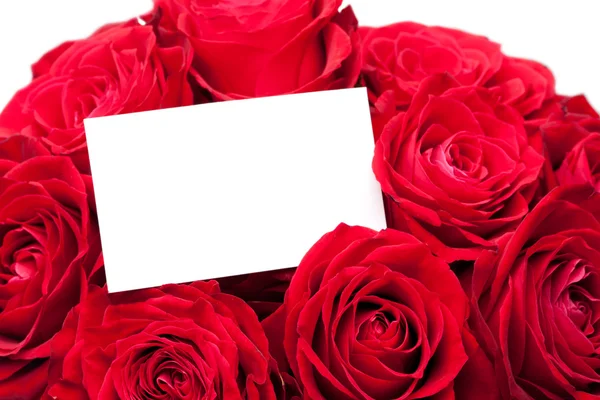 Bela rosa vermelha close-up com um cartão de saudação — Fotografia de Stock