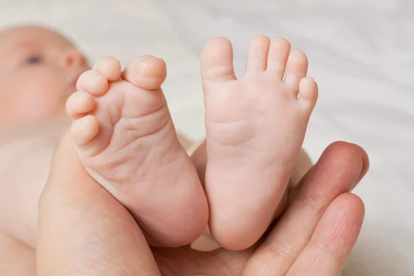 Vauvan jalat — kuvapankkivalokuva