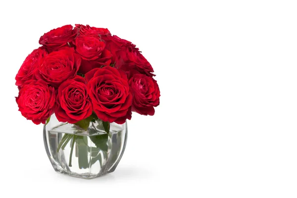 Красивая красная роза крупным планом — стоковое фото