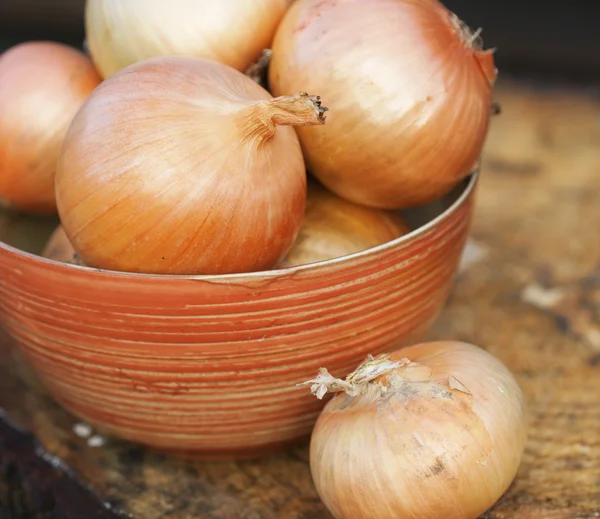 stock image Self grown organic onions in a bowl