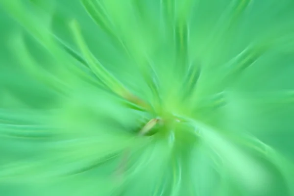 stock image Abstract green background