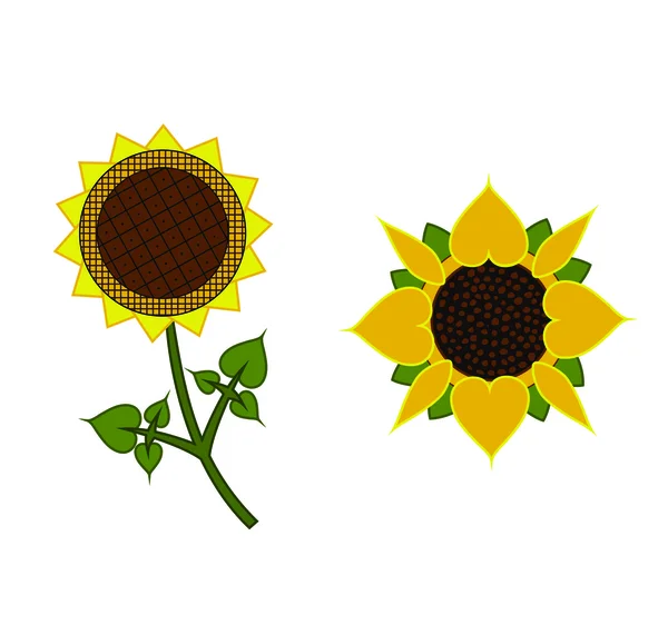 Decorative drawing sunflowers — Stock Vector