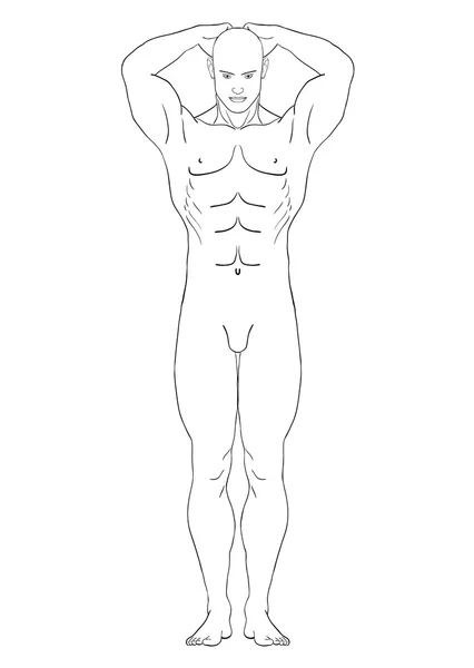 stock vector Naked man in the full-length vector