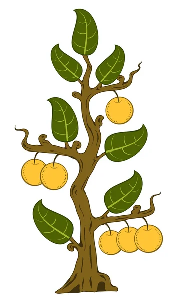 Manzanas dibujadas con hojas en el árbol — Vector de stock