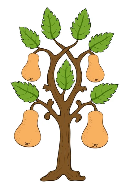 Peras dibujadas con hojas en el árbol — Vector de stock