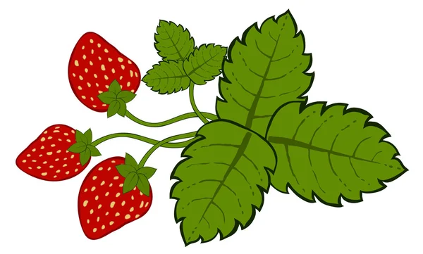 Χειροποίητη φράουλες με φύλλα — Διανυσματικό Αρχείο