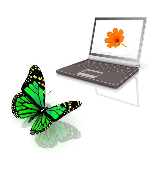 Icono del portátil con la mariposa —  Fotos de Stock