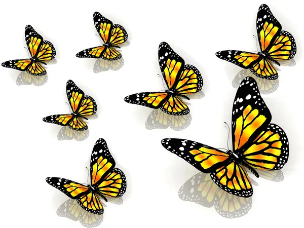 Les papillons de couleur jaune — Photo