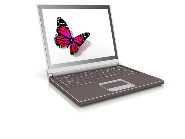 蝶とラップトップのアイコン — ストック写真