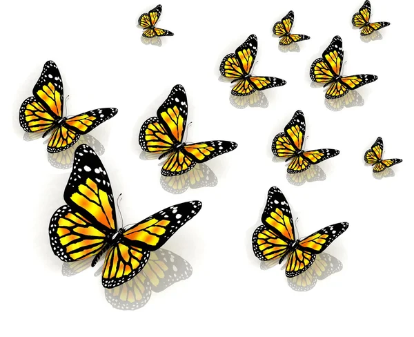 Motyle kolor żółty — Zdjęcie stockowe