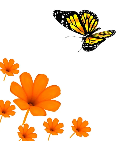 Butterfly and flowers on white background — Stock Photo, Image