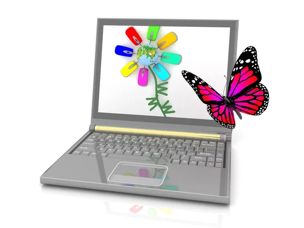 Icon of the laptop with the butterfly — Stock Photo, Image