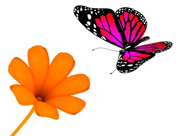 Çiçek ve kelebek — Stok fotoğraf