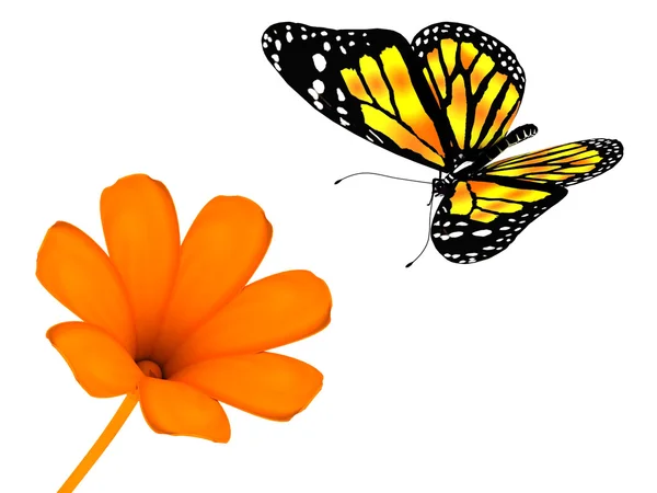 Fleur et le papillon sur fond blanc — Photo