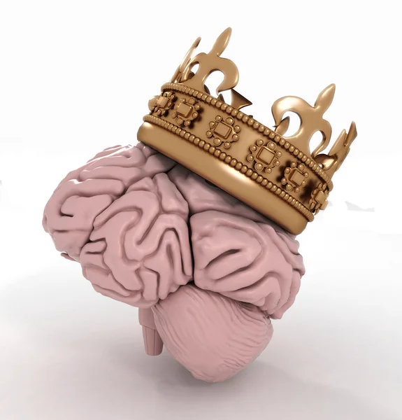 Brain with crown — Stock Photo, Image