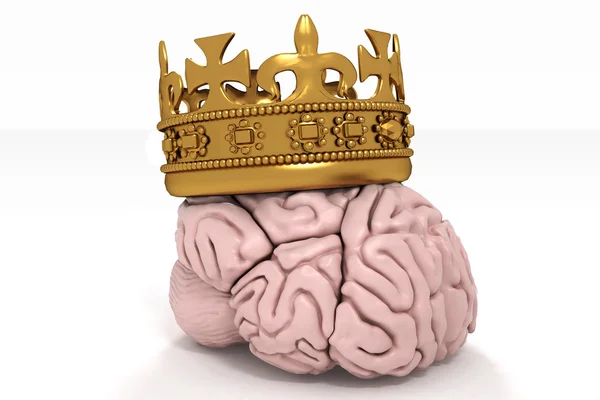 Brain with crown — Stock Photo, Image
