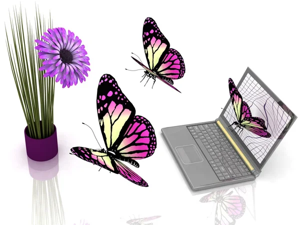 Butterflies take off from laptop to the flower — Stock Photo, Image