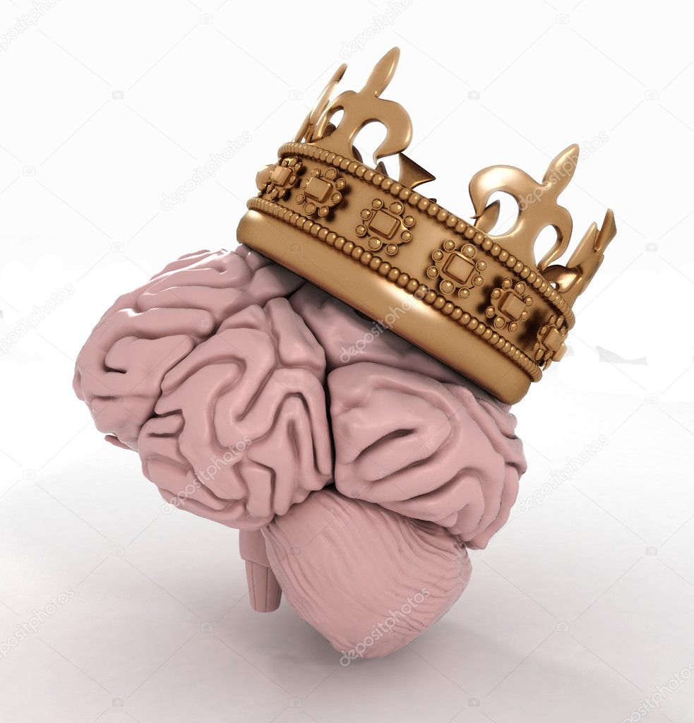 Brain with crown