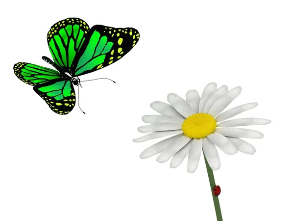 Kelebek ve papatya — Stok fotoğraf