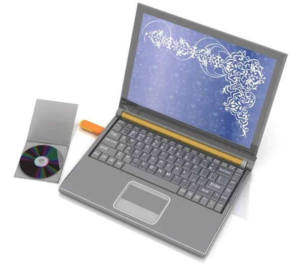 Cd는 노트북 옆 속 삽입 된 플래시 드라이브 — 스톡 사진