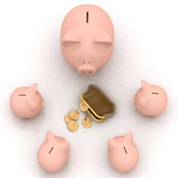 Large and little piggy banks look at a purse with chinks — Stock Photo, Image