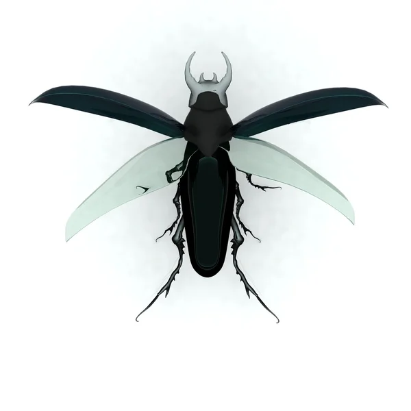Stag beetle — Stok fotoğraf
