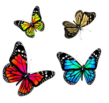 Butterflies on a white background clipart