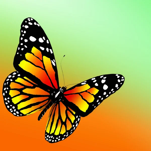 Butterfly on color background. 3d render — Stockfoto
