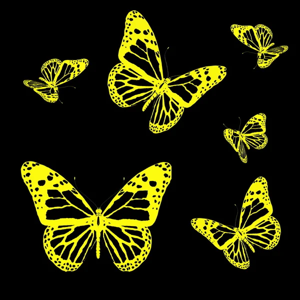 Бабочки на черном фоне — стоковое фото