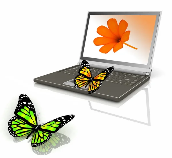 Ikona laptopa z motyl — Zdjęcie stockowe