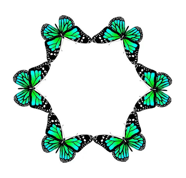 Абстрактна форма з метеликів — стокове фото