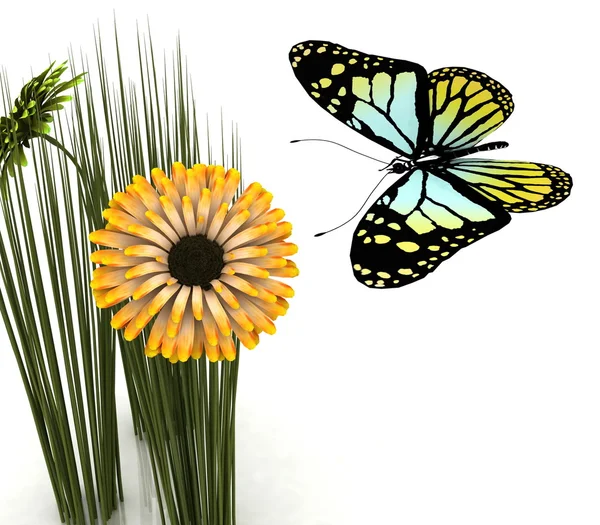 Mariposa y margarita — Foto de Stock