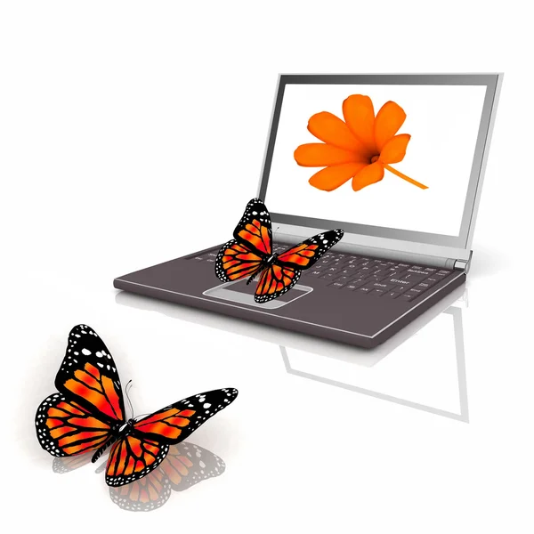 Ícone do computador portátil com a borboleta — Fotografia de Stock