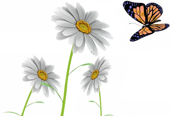 Fjäril och daisy — Stockfoto