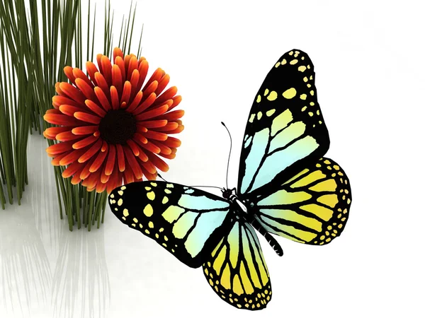 Mariposa y margarita —  Fotos de Stock