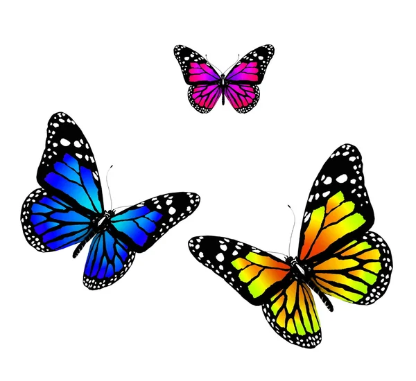 Три бабочки — стоковое фото