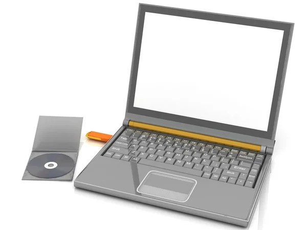 Cd ligt naast een notebook waarin de ingevoegde flash drive — Stockfoto