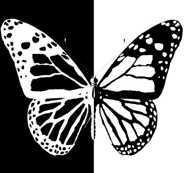 Silhouette of butterfly clipart